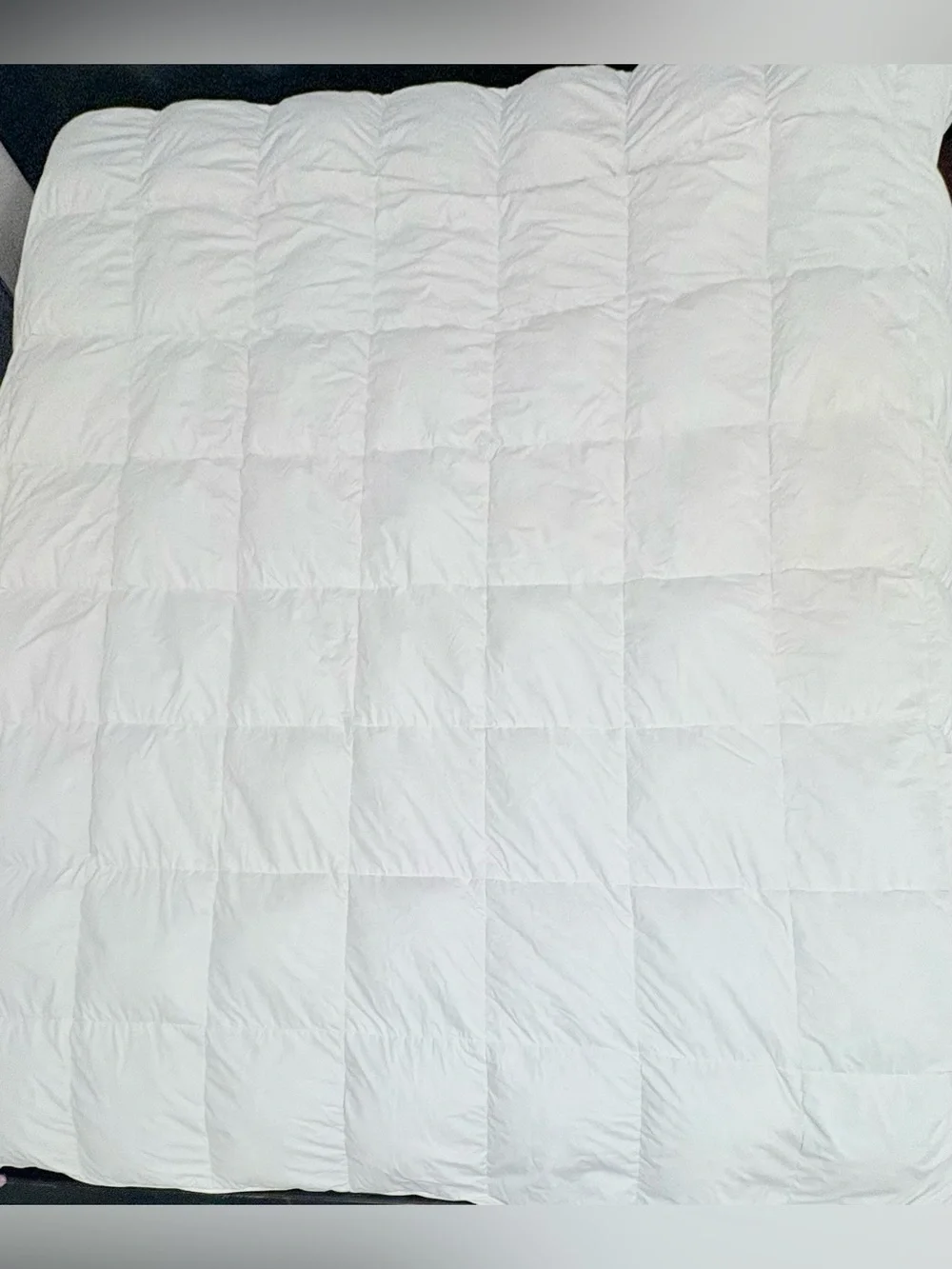 XL Queen 100% Goosedown Feather Comforter All Season Duvet White Organic Cotton